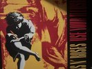 Guns N Roses Use Your Illusion 2xLP Vinyl Record