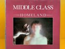Middle Class Homeland OG 1982 Pulse Records Punk LP post-punk punk rare kbd