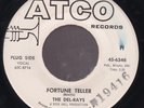 The Del-Rays - Fortune Teller / Like I Do (7