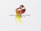 Final Fantasy VIII-Orchestra Version (Original Soundtrack)