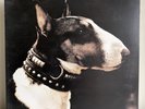 Pixies – Here Comes Your Man, Rare First Press 12