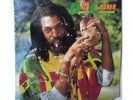 DON CARLOS - Deeply Concerned - LP - RARE 1987 80s reggae
