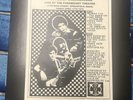 The Velvet Underground - Live At Paramount Theater Massachusetts Springfield US