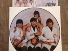 The Beatles Casualties Picture Disc Promo SEAX-11950 Limited 1980 Butcher Cover