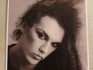 Dead Or Alive Pete Burns 2x Maxi Photo Mint