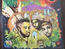 Jungle Brothers - Done By The Forces Of Nature VINYL '89 LP-US ORIGINAL   Ex+