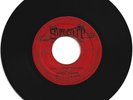 IRVING BROWN / CAN'T COUNT THE DAYS / VERSION / 7''