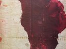 LP Gotye Like Drawing Blood 1ST EUROPEAN PRESS ON LUCKY NUMBER / INCL. CD
