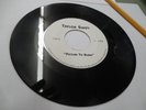 TAYLOR SWIFT - Picture To Burn - 45  - 2008 - Jukebox Only  6.5-7 out of 10  VG+