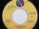 Punk 45 UNDERTONES Teenage Kicks SIRE VG++ HEAR i