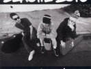 Beastie Boys Check Your Head (Vinyl) 12
