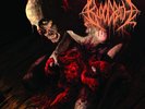 Bloodbath - Nightmares Made Flesh (Vinyl LP - 2004 - EU - Reissue)