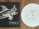 THRICE - Image Of The Invisible 7