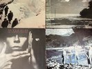 Echo Bunnymen Teardrop Explodes Record Lot