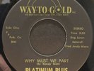 RARE Modern Soul 45 PLATINUM PLUS Why Must We Part / So Simple WAY TO GOLD hear