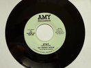 NORTHERN SOUL - The Virginia Wolves - Stay