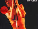 Iggy Pop & The Stooges - Raw Power (Vinyl 2LP - 2012 - EU - Reissue)