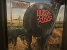 Blink-182 - Dude Ranch (SRCvinyl 2015 Pressing) 1939/2500