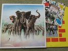 ELVIS COSTELLO AND THE ATTRACTIONS – ARMED FORCES LP+7″– Nr MINT A1 UK 1979 PUNK