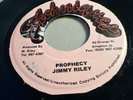 Jimmy Riley - Prophecy - 7” Vinyl Reissue