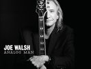 Analog Man [LP] by Joe Walsh [VINYL]