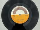 Trammy – Horns Of Paradise 7”