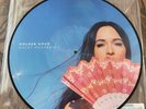 Kacey Musgraves Golden Hour Picture Disc Vinyl Urban Outfitters Exclusive