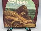 The Grateful Dead Wake Of The Flood Vintage Vinyl LP 1973 GD Record GD-01