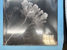 Pearl Jam 'Last of Us' Ten Club Exclusive Vinyl SHIPS ASAP NEW  E10