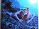 ROXY MUSIC SIREN RARE ORIG '75 ATCO LP GLAM CLASSIC GEORGE PIROS MASTER MINT