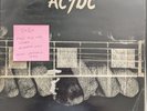 AC/DC Let There Be Rock Vinyl Record G+/G+ APLP-022 1977 Australian Play Tested