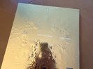 Jay Z / Kanye West Watch The Throne 2LP Vinyl New/Sealed Picture Disc