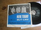 THE ROBB STORME GROUP - Here Today / But cry - Mod Garage Beat 7