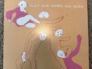 FINAL MARKDOWN Rare Clap Your Hands Say Yeah S/T Vinyl LP Orig 2005 Record NM