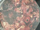 CARCASS - Symphonies Of Sickness Vinyl LP  -  PICTURE DISC - 1990 MOSH