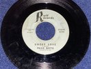 Page Boys Sweet Love / All I Want (1966) Ruff Records RARE  Garage Fuzz Rock