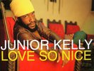 Junior Kelly - Love So Nice (LP) (Very Good Plus (VG+)) - 3781999232