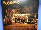 BLOSSOMS - BLOSSOMS (VINYL) Record LP VG+