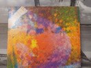 The Litter ‎– $100 Fine  1968 Vinyl LP