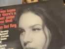 Selling All 5 Of Lana Del Rey Vinyls As A Bundle. They Are Still New And Unused.