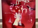 Divinyls What A Life  1985 LP Vinyl New Wave RML 53130 - FREE TRACKED POSTAGE