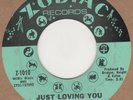 Ruby Andrews Just Loving You Zodiac  Soul Northern Motown
