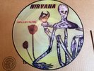 Nirvana Incesticide Picture Disc VInyl
