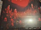 Superbloom by Silent Planet (Record, 2023) Galaxy Clear Vinyl