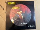 Nirvana In Bloom Picture Disc Vinyl