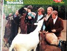 MINT 1966 SHRINK =ORIG    THE BEACH BOYS   PET SOUNDS psych Beatles BRIAN WILSON