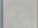 The Beatles (The White Album) by The Beatles (Record, 2018) Near Mint Vinyl
