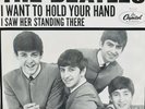 Beatles 1963 I Want To Hold Your Hand 45 RPM w/ picture sleeve Hofer Mono