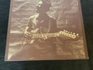 HOUND DOG TAYLOR.   SELF TITLED LP