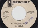 1967 GARAGE ROCK 45 THE RIDDLES IT'S ONE THING TO SAY MERCURY 72669 PROMO VG+